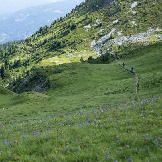 VTT Enduro à La Plagne