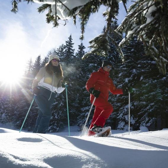 Randonnée raquettes dans les sapins de La Plagne