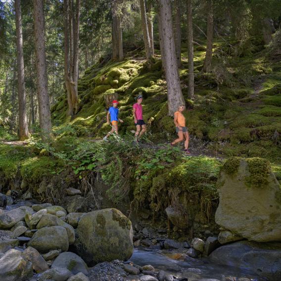 Randonnée forêt en famille à La Plagne