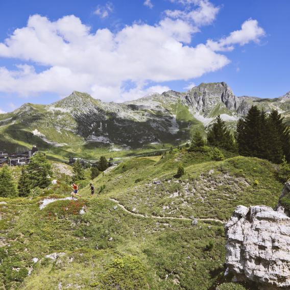 Trail en montagne à La Plagne