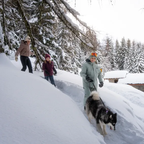 Balade en famille en forêt à Praz Salvard
