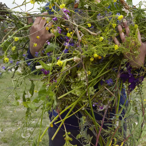 ampagne_Premiere_Manuela_Marques_la_brassee_2017_impression_pigmentaire_sur_papier_baryté-Courtesy_Galerie_Anne_Barrault