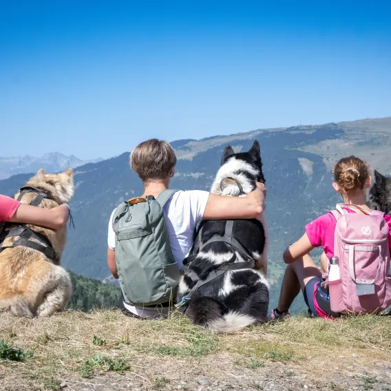 Balade avec nos amis à quatre pattes !