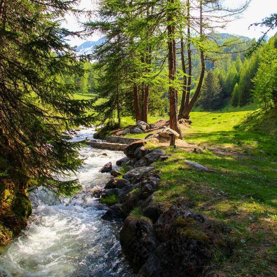 Sentier du bief bovet le long du ruisseau