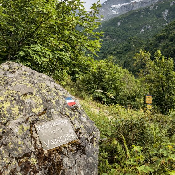 Parc de la Vanoise à La Plagne Champagny en Vanoise