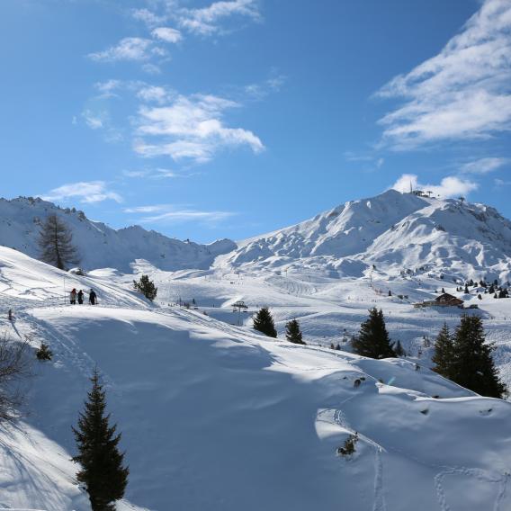 Balade dans la neige à La Plagne