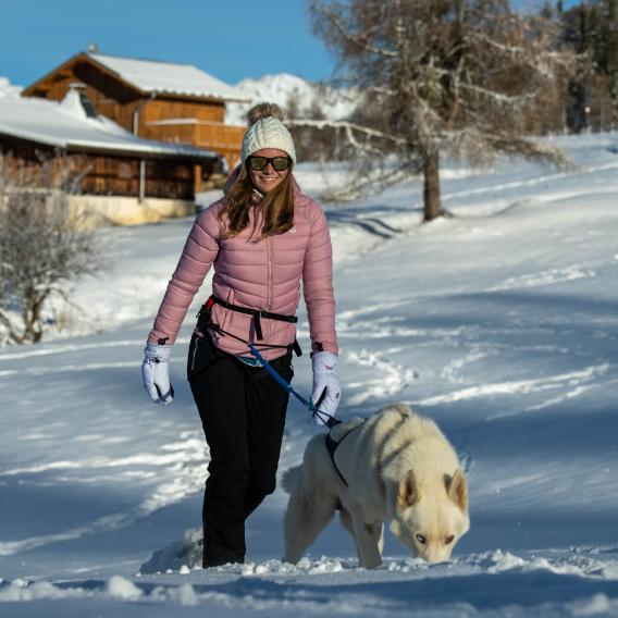 Cani-raquette La Plagne