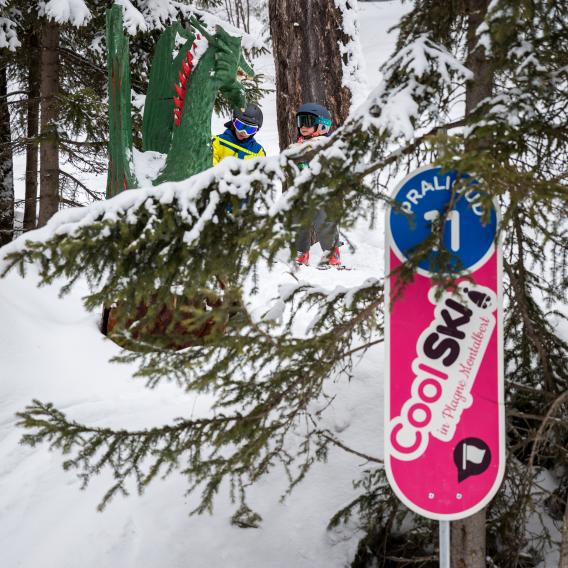 Piste Cool Ski à La Plagne