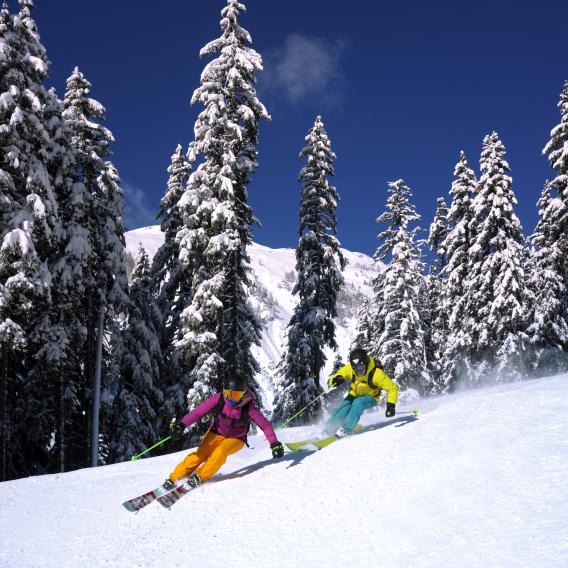 Skieur sur les Mont de la Guerre à La Plagne