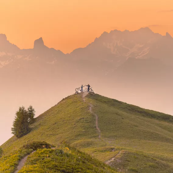 VTTAE sur la tête de Jarset