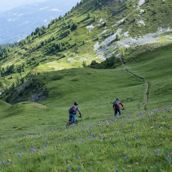 VTT enduro avec vue sur la vallée à La Plagne