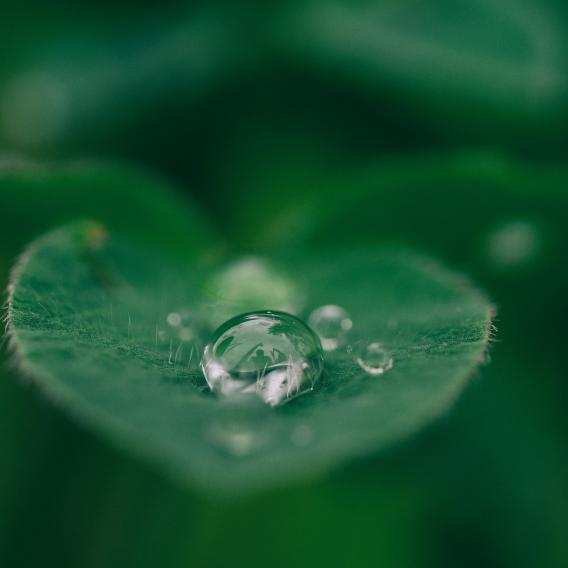 Le cycle de l'eau