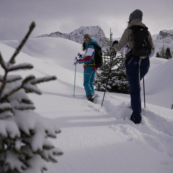 Randonnées raquettes à La Plagne