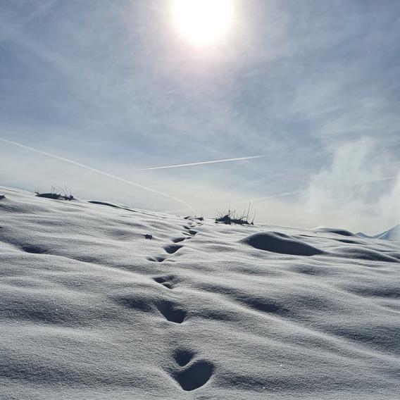 Versant du Soleil, espace Nordique