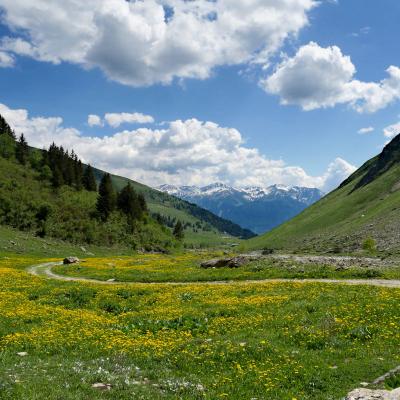 Foran, Le Versant du Soleil