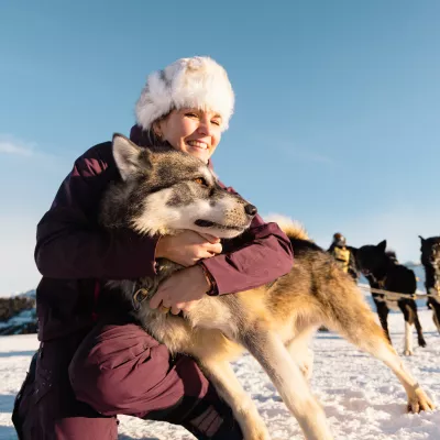 3 idées reçues sur les chiens nordiques, les rois des sports tractés