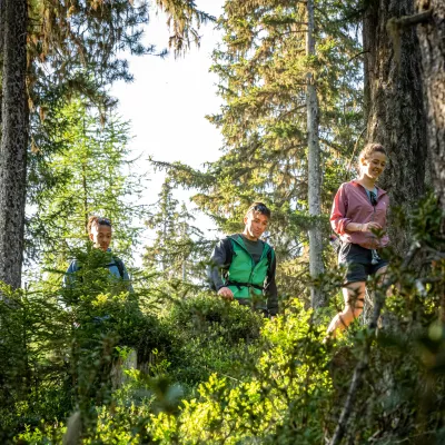 Randonnée en forêt : 5 bonnes pratiques à transmettre à vos enfants