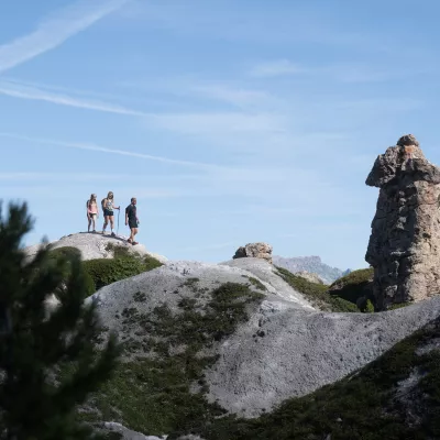 La cembraie sur gypse, miracle de la nature