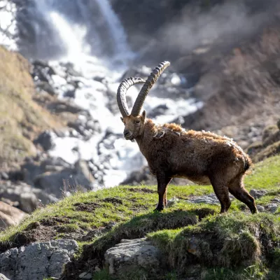 Concours photo à Champagny