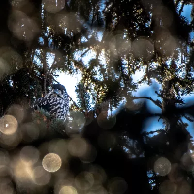 3 cachettes hivernales méconnues pour savourer une balade au calme