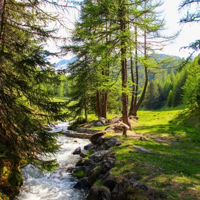 Biefs : perpétuez cette tradition séculaire en famille