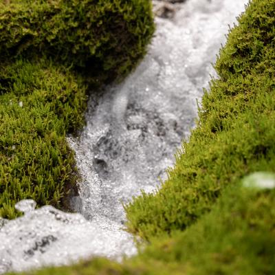 J'ai testé les ateliers de sensibilisation aux micropolluants