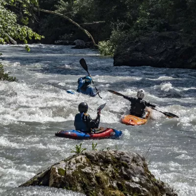 Kayak
