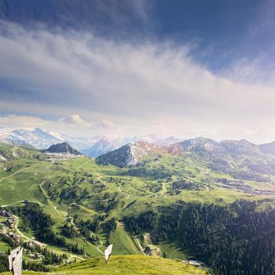 Nos fonds d’écran pour prolonger votre été Nos fonds d’écran pour prolonger votre été