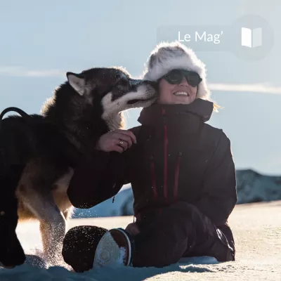 3 idées reçues sur les chiens nordiques