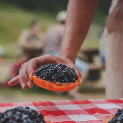 Marchés | vide-greniers