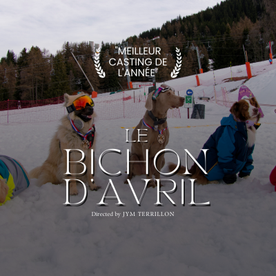 Bichon d’avril ! Bichon d’avril !