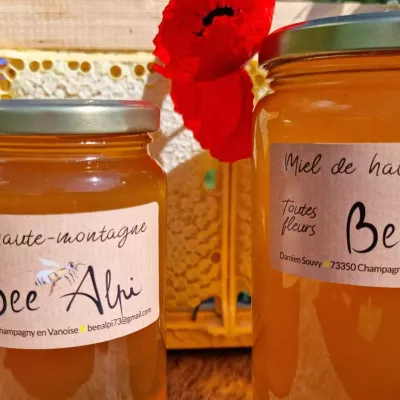 Damien Souvy, guide haute montagne et apiculteur