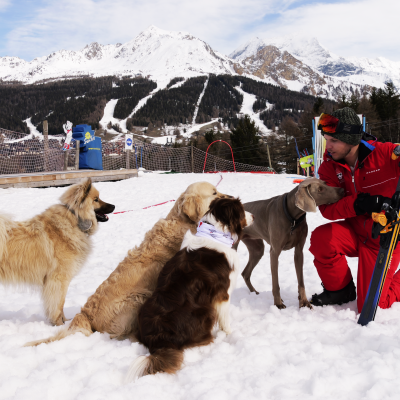 La première Ecole de Ski Canine au monde, c’est à La Plagne !