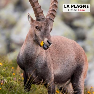 SÉJOUR NATURE SAUVAGE