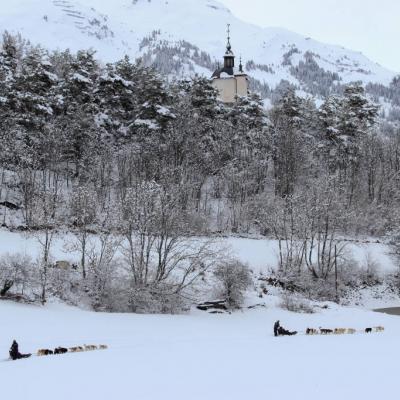 Baptême en traîneau à chiens