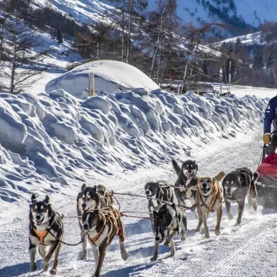 Baptême - balade en traîneau à chiens
