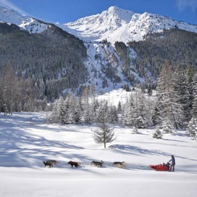 Génération Musher - Traîneau à chiens