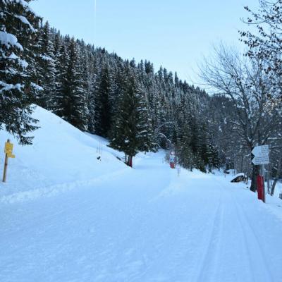 Matériel Ski Adulte (Or), Ski Shop à Domicile, La Plagne
