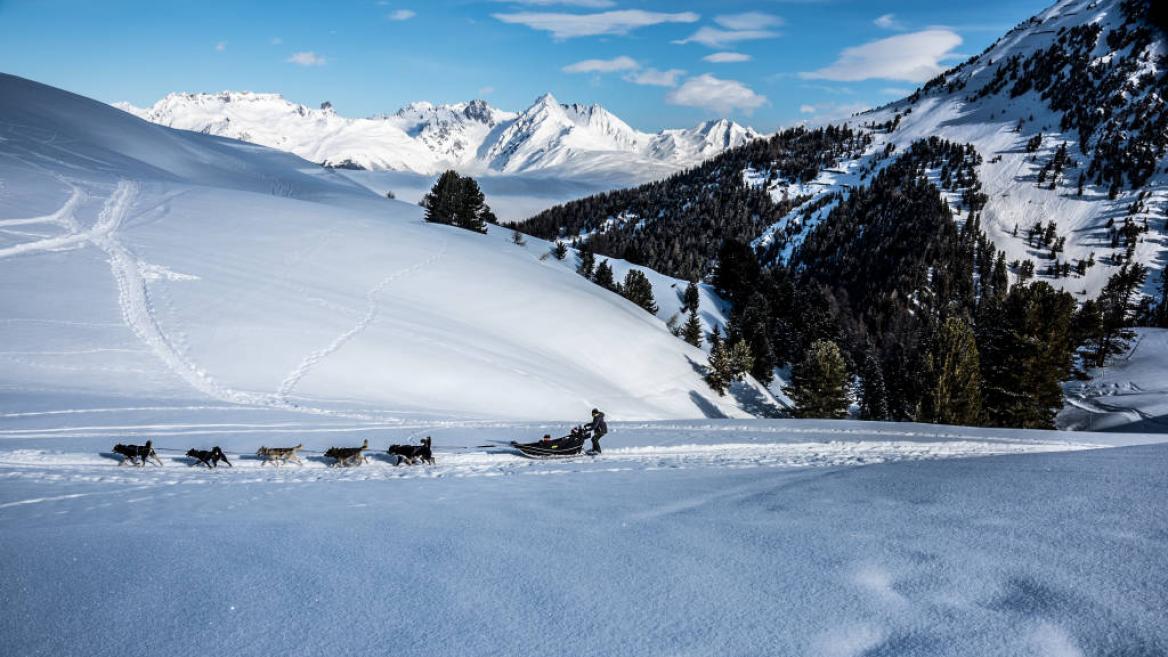 Balade En Traineau A Chiens Sur Le Dou Du Praz Plagne Villages Chiens De Traineaux A Plagne Villages Balade En Traineau A Chiens Sur Le Dou Du Praz Plagne Villages Chiens De Traineaux A Plagne Villages