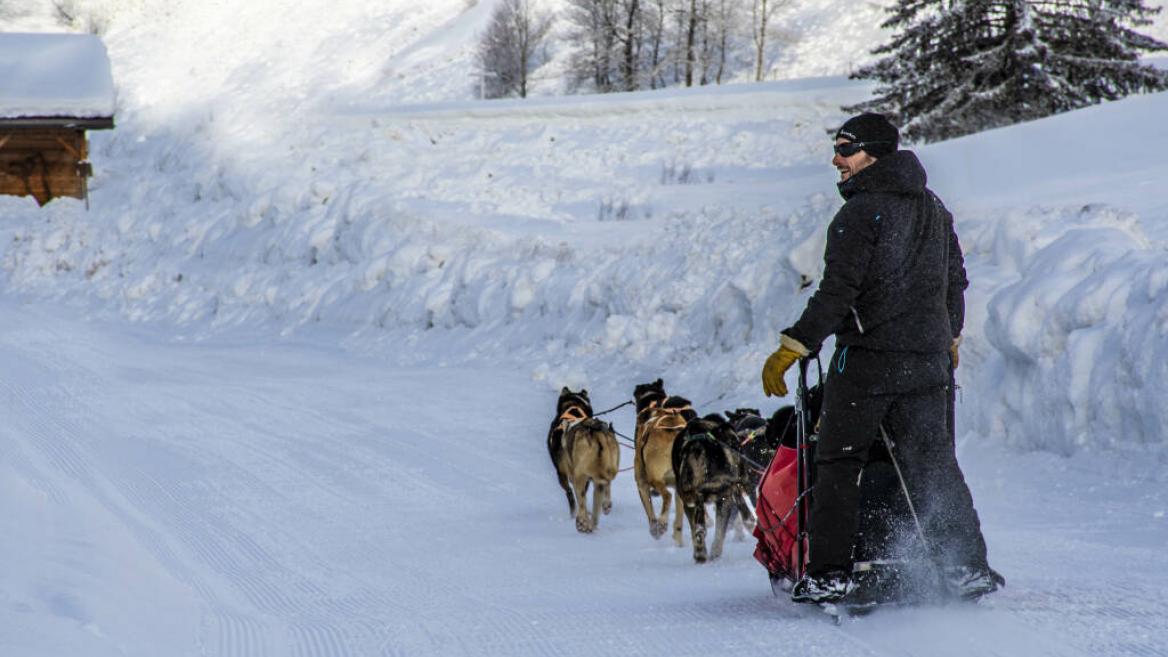 Baptême/balade en traîneau à chiens