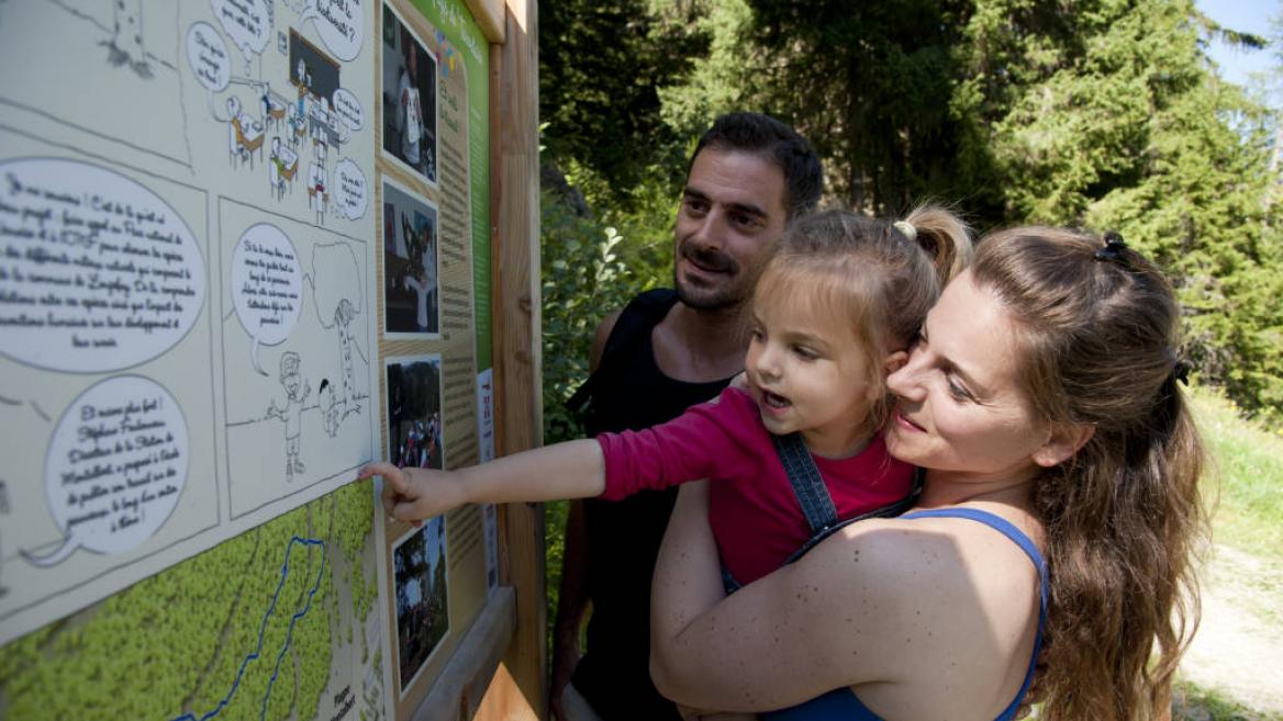 Biodiversité été