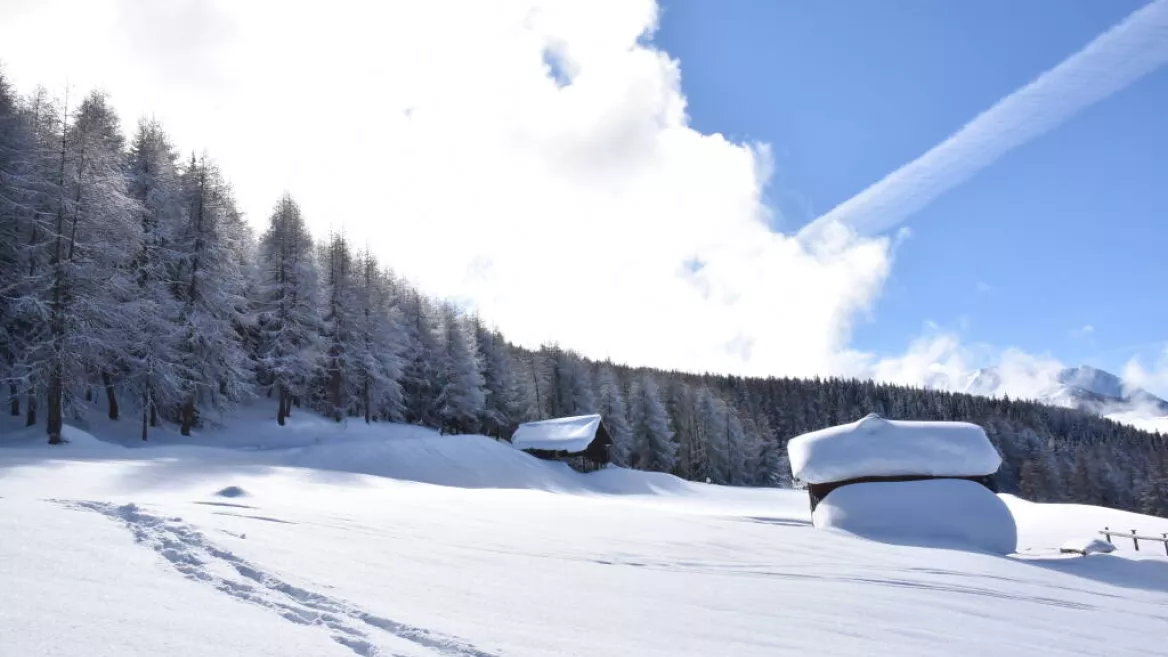 Itinéraire randonnée pédestre : Les Frasses_Montchavin-les-Coches