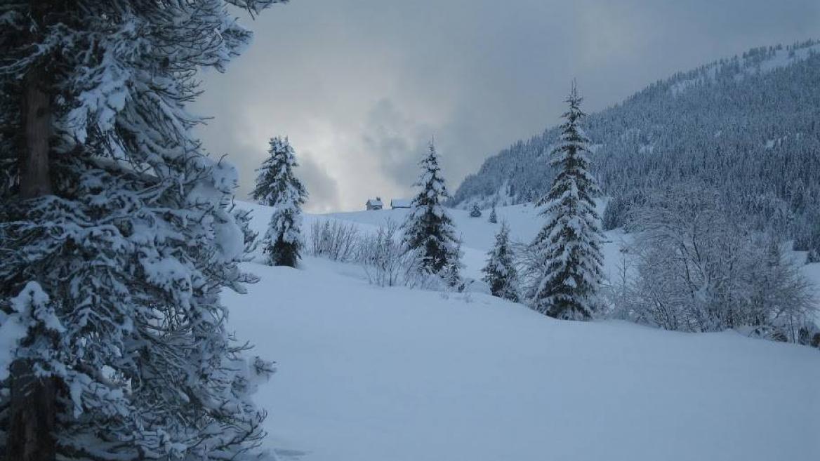 La Vallée des Bauches