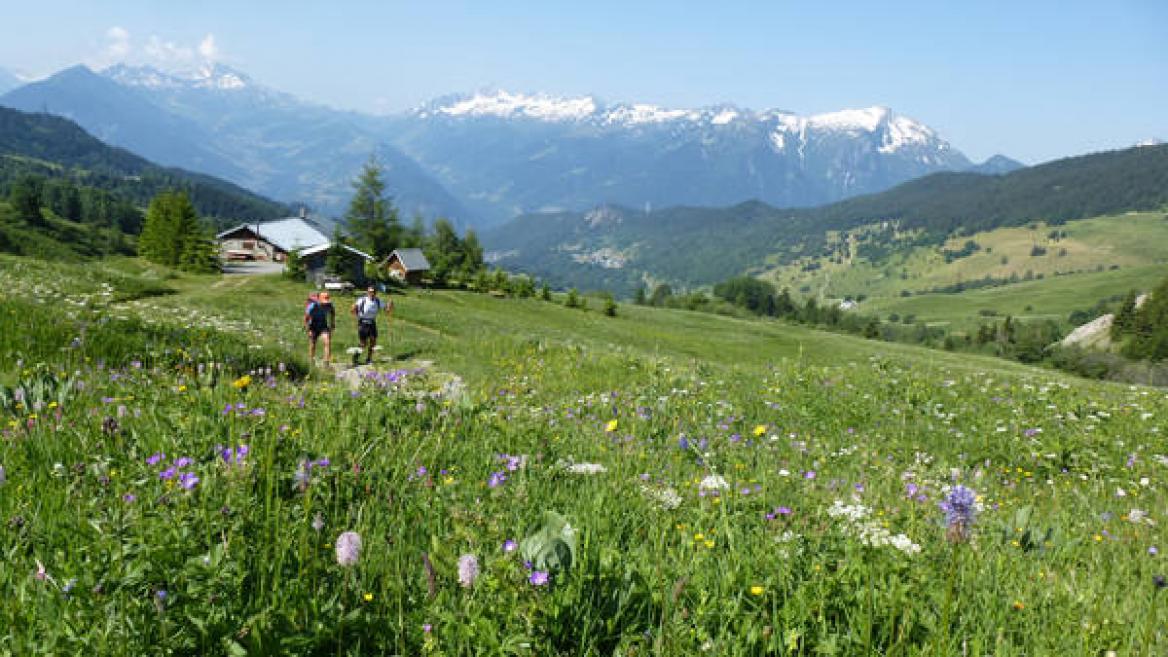 Grand Tour de Tarentaise (27 jours - à composer à sa guise) Grand Tour de Tarentaise (27 jours - à composer à sa guise)