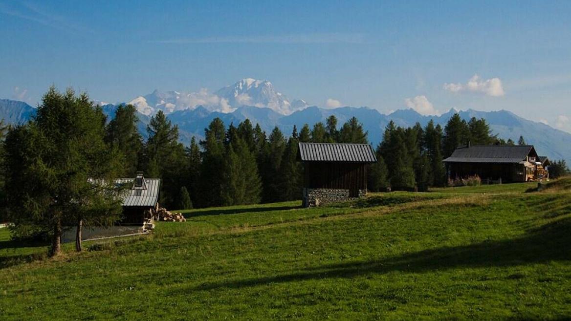 Plateau de Plan Bois