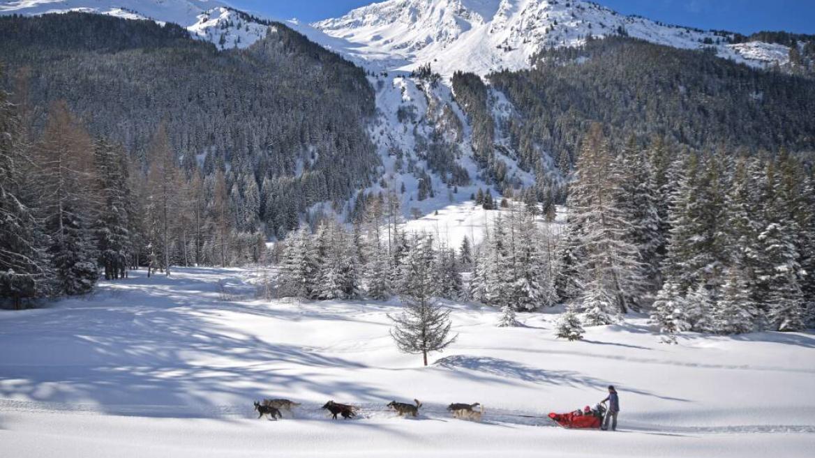 Génération Musher - Traîneau à chiens