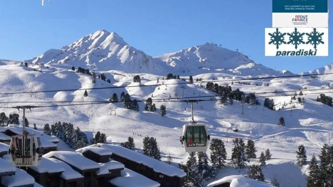 Vue imprenable du salon sur la montagne