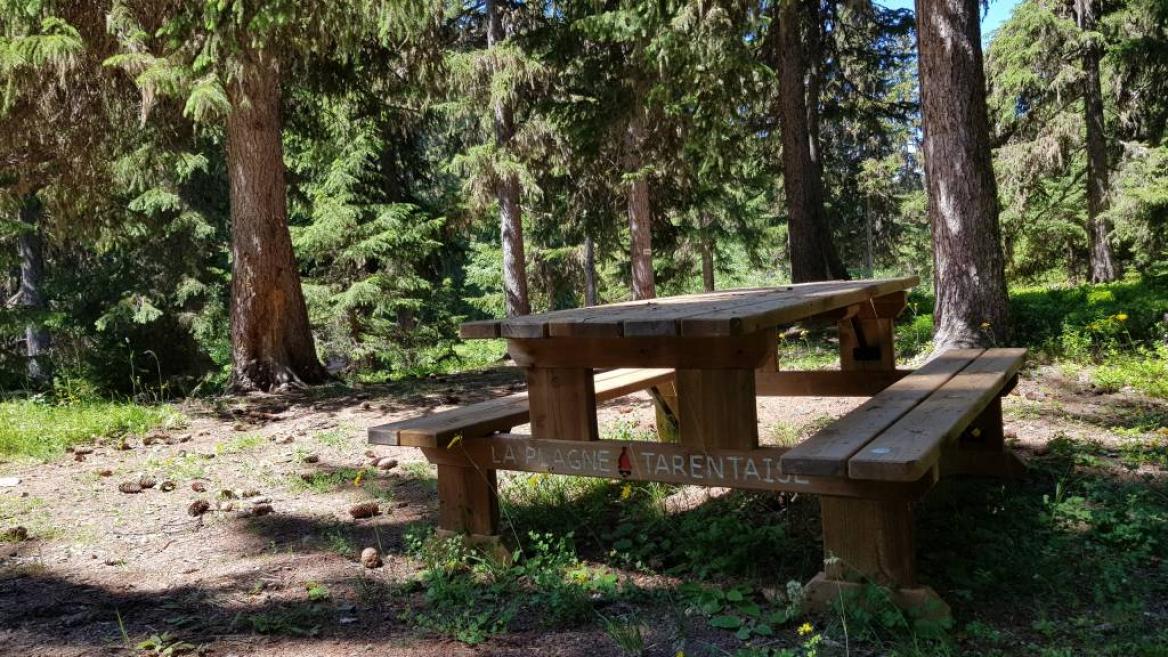 Table de pique nique à la Tourbière du Lac Noir