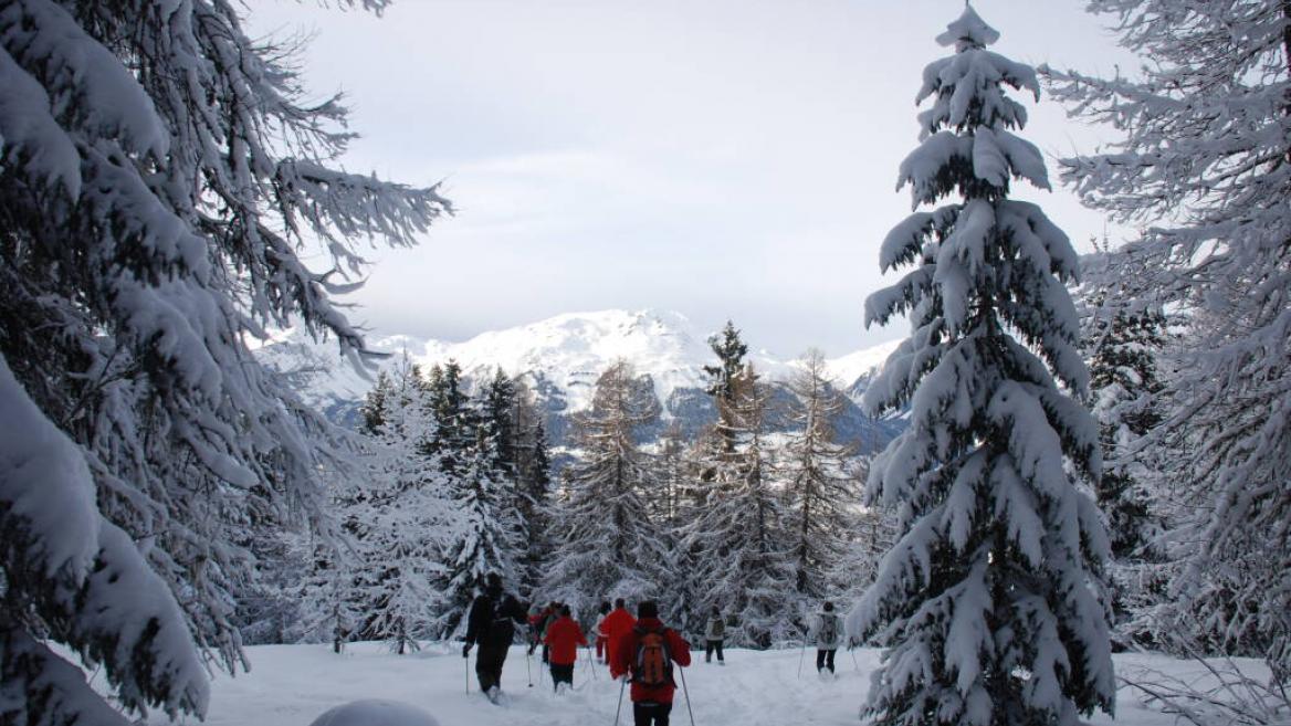 en forêt