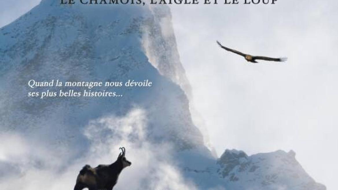 Cinéma de montagne : "SAUVAGE, le chamois, l'aigle et le loup"... Nouveau film